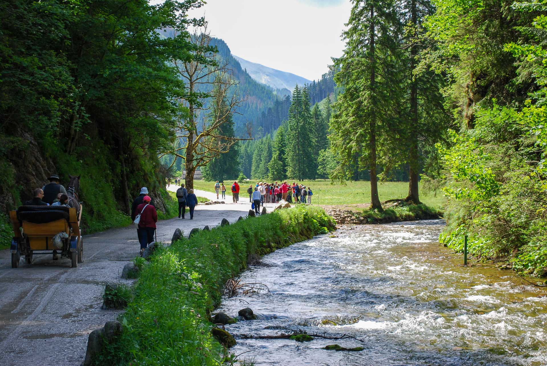 Obóz sportowo - turystyczny w górach | Poronin | 02.07 - 08.07.2023